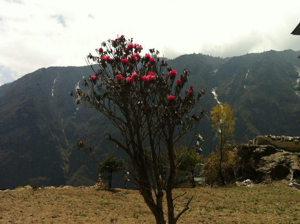 Hotel Namche Nāmche Bāzār 외부 사진